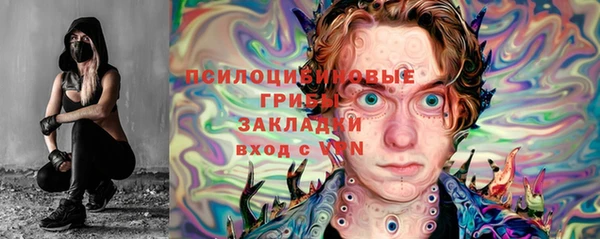 хмурый Алзамай