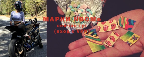 хмурый Алзамай