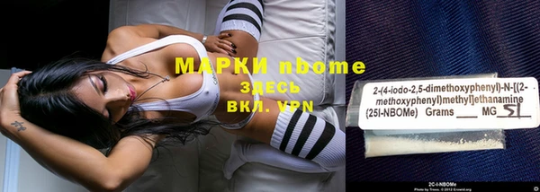 хмурый Алзамай