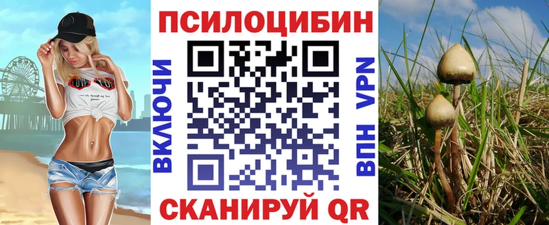 что такое наркотик  Клин  Галлюциногенные грибы мухоморы 